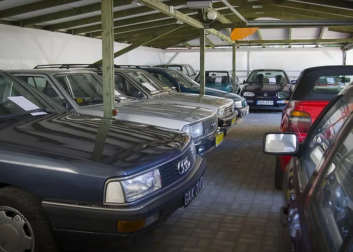 Проживание в семье Galeria Pepowo Жуково